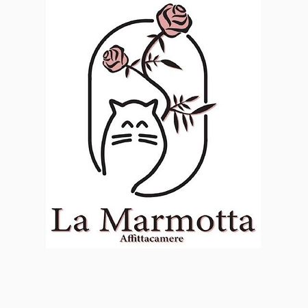 La Marmotta Hotel Luserna San Giovanni Exterior foto